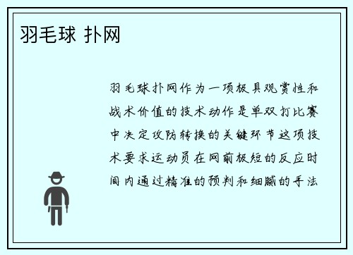 羽毛球 扑网